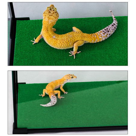 Repti-Zoo Carpet Mat - podłoże do terrarium