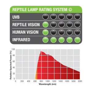 EXO TERRA Podczerwona żarówka grzewcza 50W