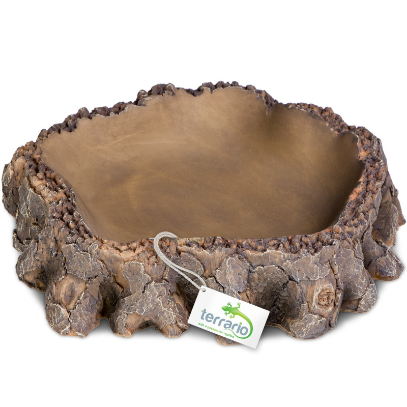Terrario Root Bowl – Miska do Terrarium 16x16x4 cm