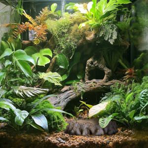 Terrario Root Bowl – Miska do Terrarium 16x16x4 cm