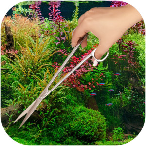 Kruger Meier Pflanzenschere Einfache - nożyce proste 25cm