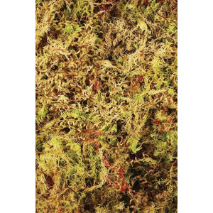 Komodo Habitat Moss 100g - mech torfowiec