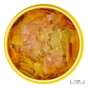 JBL Pronovo Color Flakes M 250ml - pokarm w płatkach wzmacniający kolory ryb