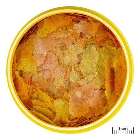 JBL Pronovo Color Flakes M 250ml - pokarm w płatkach wzmacniający kolory ryb