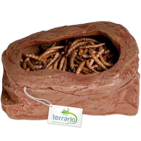 Terrario SplitRock Smart Bowl – miska do karmienia żywym pokarmem 11x9x4 cm