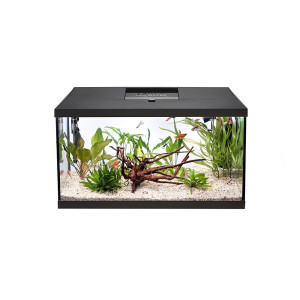 Aquael Leddy Plus 60 Day&Night Black 2.0 - zestaw akwariowy