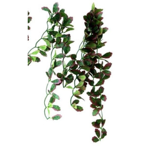 Repti-Zoo roślina wisząca bluszcz czerwony 40cm