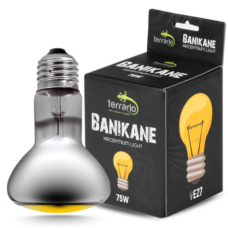 Terrario Banikane Neodymium Light - żarówka grzewcza neodymowa 75W – Naturalne światło i skuteczna wyspa ciepła