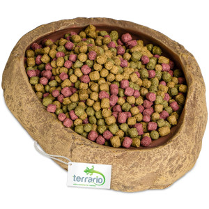 Terrario Rock Oasis M – Miska do Terrarium 14,5x11,5x3,5 cm