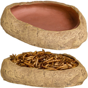 Terrario Rock Oasis M – Miska do Terrarium 14,5x11,5x3,5 cm