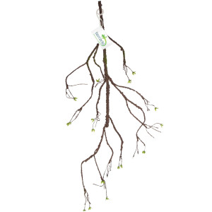 Terrario – Sztuczna Gałąź Dekoracyjna z Pędami do Terrarium – 100 cm