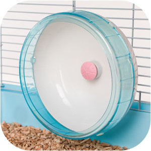 Furrever Friends Olympic Wheel Blue Green - kołowrotek z łożyskiem kulkowym