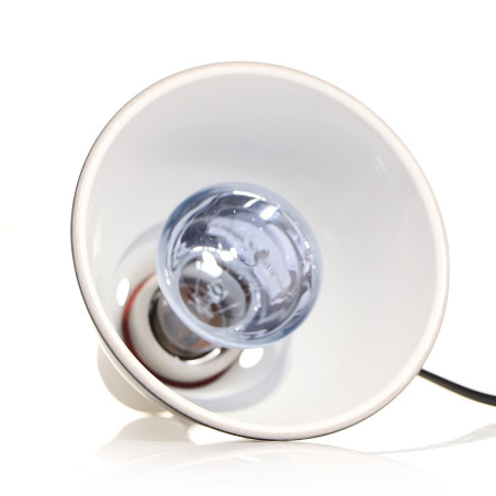 Repti-Zoo Neodymium Daylight 50W - żarówka grzewcza neodymowa