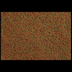 Tetra Micro Granules 100ml - mikro pokarm granulki