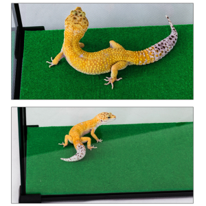 Repti-Zoo Carpet Mat - podłoże do terrarium 30x30cm