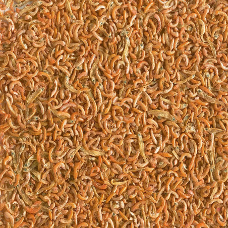 Tetra Gammarus Mix 250ml - pokarm dla żółwi z gammarus