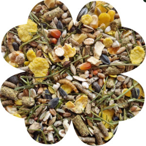 Alegia Enjoy pokarm dla chomika 800g