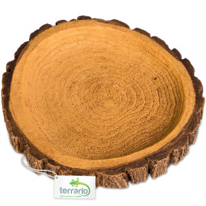 Terrario Tree Ring Bowl M – Miska do Terrarium 12x11x1,5 cm