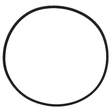 SunSun Uszczelka głowicy HW-304