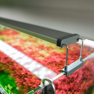 Chihiros B-Series B80 LED Light with Commander - lampa led sterowana aplikacją 80-100cm