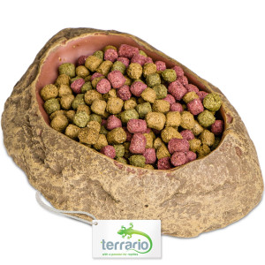 Terrario Rock Oasis S – Miska do Terrarium 10x6,5x2,5 cm