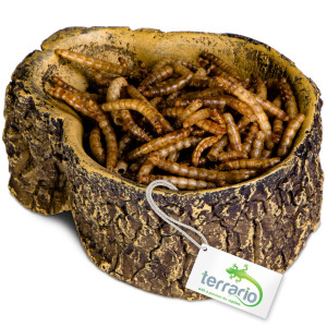 Terrario Bark Bowl – Miska do Terrarium 10x7,5x4 cm