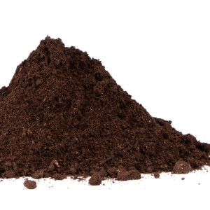 Aventerra Sweden TESTUDO Baby 4l - podłoże dla młodych żółwi