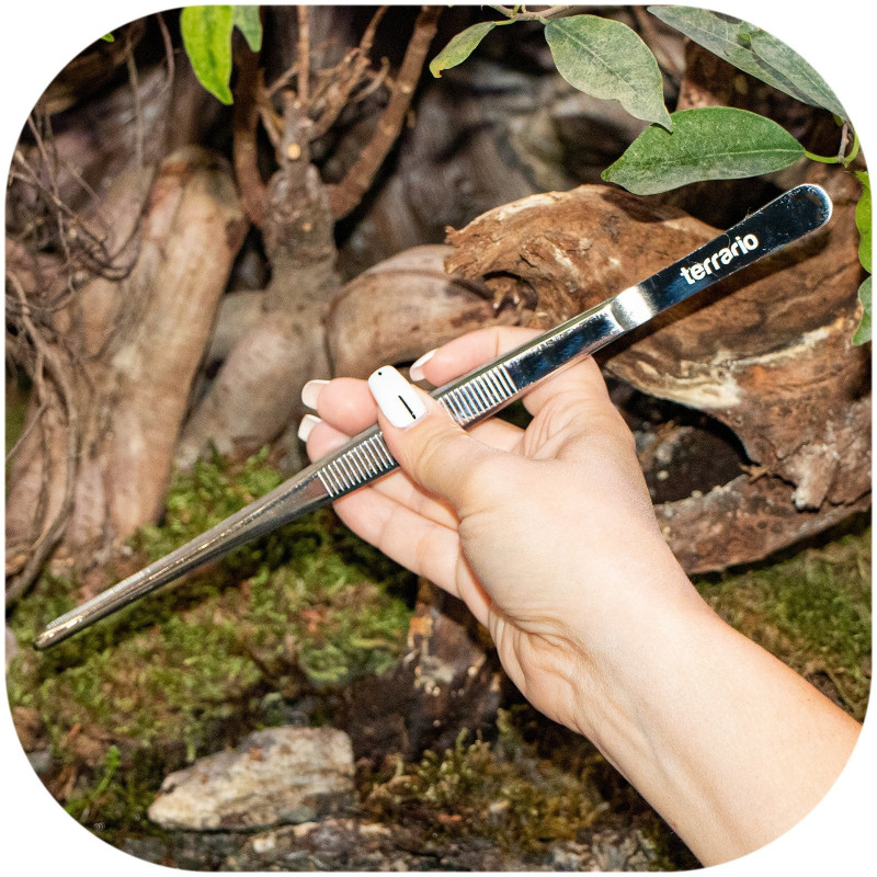 Terrario ViperTweez Simple S - pęseta prosta 20cm – precyzyjne i bezpieczne karmienie oraz prace w terrarium