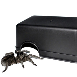 Terrario CubeCave - jaskinia  miska na wodę i pokarm 17x12x7cm