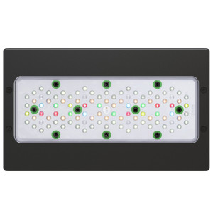 Ecotech Radion XR30 G5 FW Led Light - oświetlenie LED do akwarium słodkowodnego