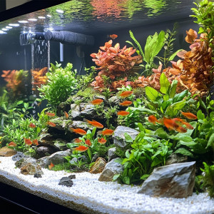 Kruger Meier Arctic Pearl 2–5 mm – Żwirek akwarystyczny 2 kg