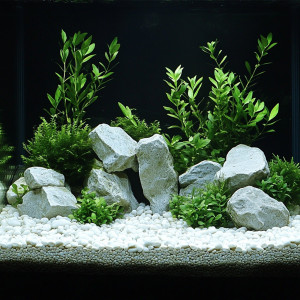 Kruger Meier Thasos Glacier 4–8 mm – Żwirek akwarystyczny 2 kg