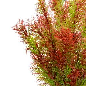 Kruger Meier Plant Riverweed - roślinka sztuczna