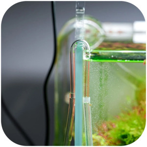 Chihiros U Clip L - kolanko na wężyk 6mm CO2 i napowietrzacza