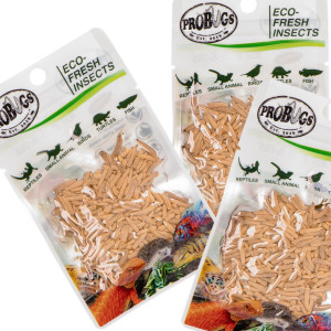 ProBugs Eco-Fresh Riceworm 15g - świeże larwy muchy