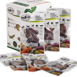 ProBugs Eco-Fresh Dubia Cockroach 5pcs - świeże karaczany argentyńskie