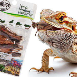 ProBugs Eco-Fresh Grasshopper 8pcs - świeże koniki polne