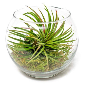 Siatka PCV  - do oddzielania warstw podłoża