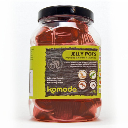 Komodo Jelly Pot Brown Sugar- pokarm brązowy cukier w żelu – kompletna i wygodna dieta dla gadów i żywych karmówek