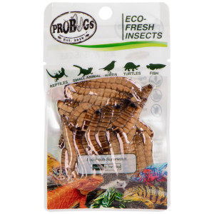 ProBugs Eco-Fresh Superworm 20g - świeże larwy drewnojada