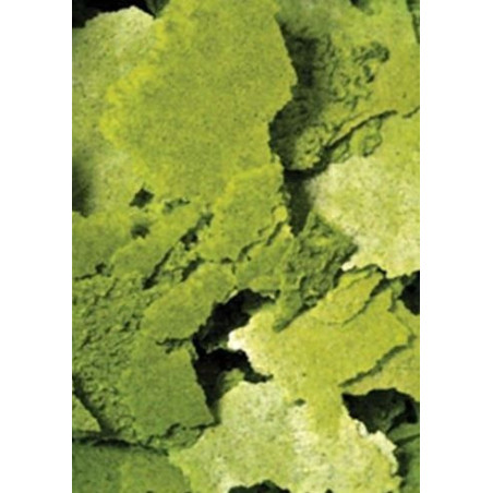 Ocean Nutrition Formula Two Flakes 34g (pokarm w płatkach)