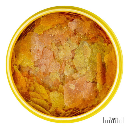 JBL Pronovo Color Flakes M 100ml - pokarm wzmacniający kolory ryb