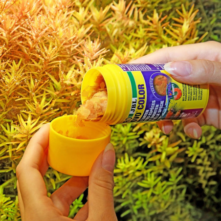 JBL Pronovo Color Flakes M 100ml - pokarm wzmacniający kolory ryb