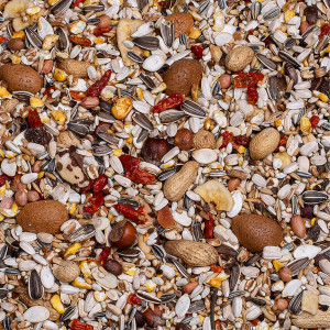 Deli Nature Birdelicious Exquisit Nuts 750g - uzupełnienie pokarmu dla papug