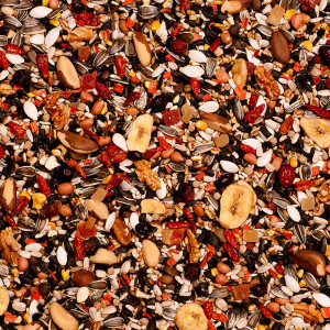 Deli Nature Birdelicious Pantanal 750g - pokarm dla papugi Ara i Kakadu Palmowe