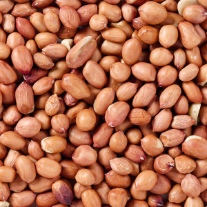 Deli Nature Peeled Peaunts 3kg - orzechy dla ptaków zimujących