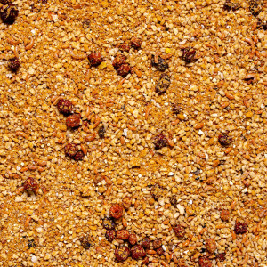 Deli Nature Uni Pate TOVO 1kg - pokarm z witaminami dla małych papug i ptaków ozdobnych