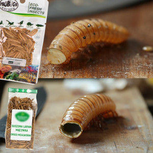 ProBugs Eco-Fresh Mealworm 15 x 20g - świeże larwy mącznika 15 saszetek