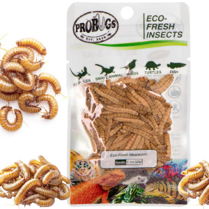 ProBugs Eco-Fresh Mealworm 15 x 20g - świeże larwy mącznika 15 saszetek
