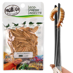 ProBugs Eco-Fresh Mealworm 15 x 20g - świeże larwy mącznika 15 saszetek